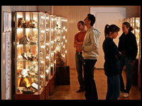 Muzeum geologiczne w Klimontowie