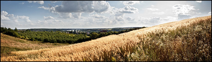 Panorama Klimontowa. Widok z Pęchowa